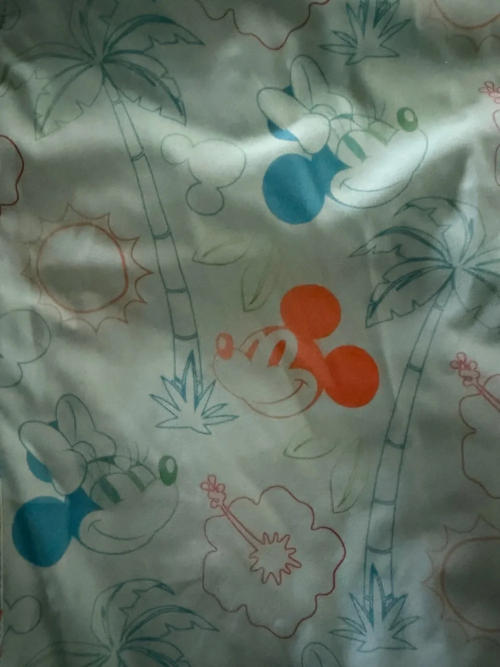 DISNEY • SWIM BRIEFS AND SHORTS
